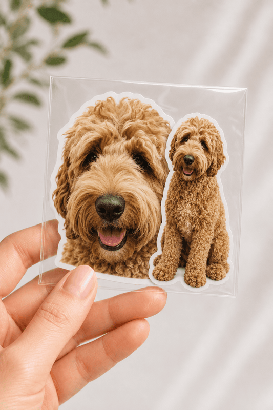 Duo Stickers - KALARA
