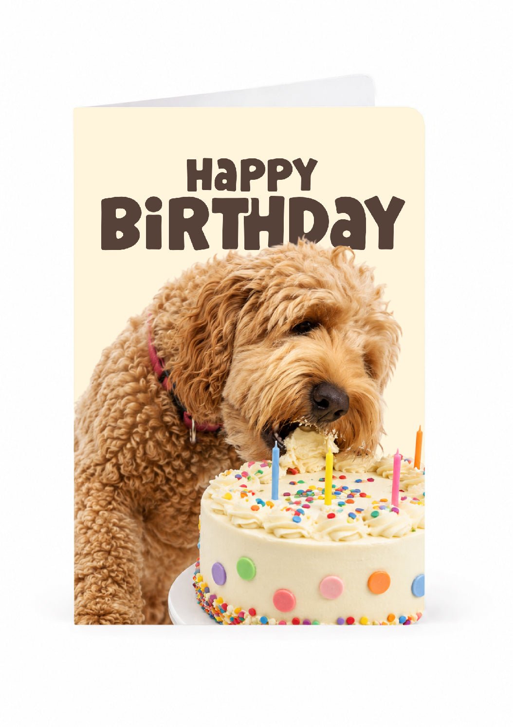 Cake Chomp — Birthday Card - KALARA
