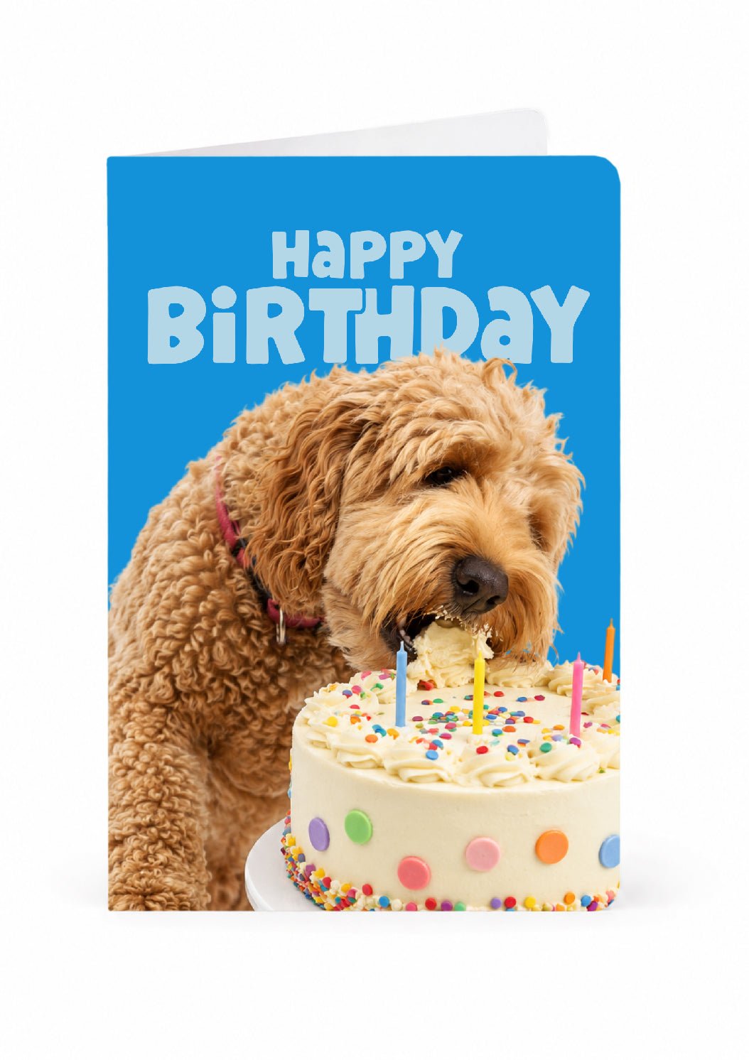 Cake Chomp — Birthday Card - KALARA
