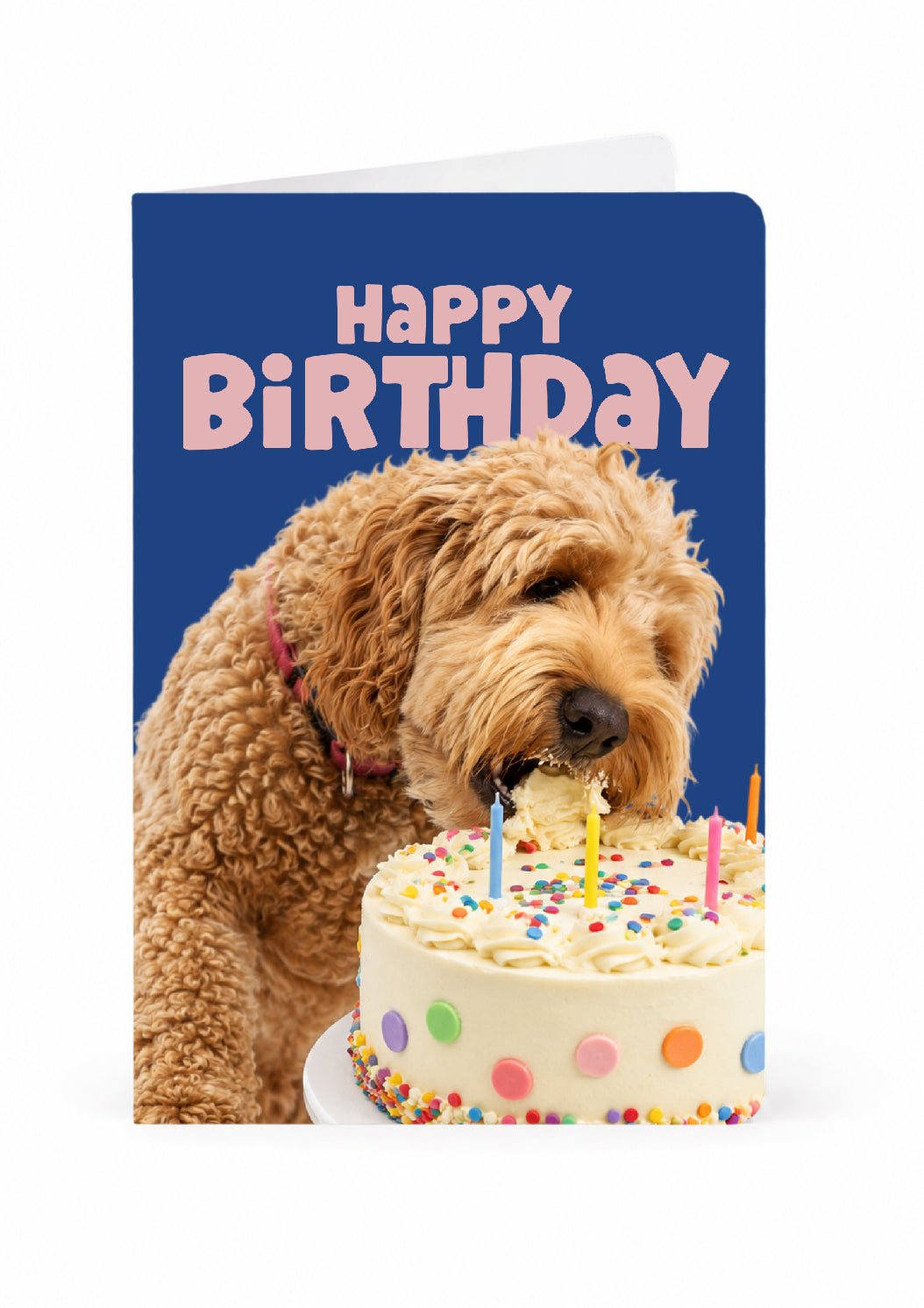 Cake Chomp — Birthday Card - KALARA
