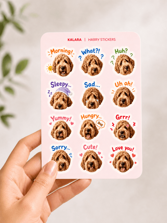 Chatty Stickers (Pink) - KALARA