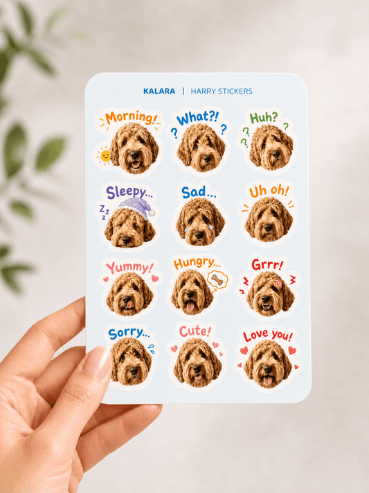 Chatty Stickers (Blue) - KALARA